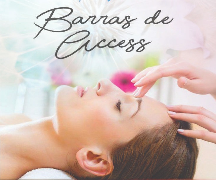 4- ATENDIMENTO DE BARRAS DE ACCESS 4- ATENDIMENTO DE BARRAS DE ACCESS
